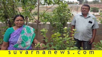 ಲಕ್ಷ್ಮೇಶ್ವರ: ಮನೆಯನ್ನೇ ಹಸಿರು ವನವನ್ನಾಗಿ ಮಾಡಿಕೊಂಡ ದಂಪತಿ