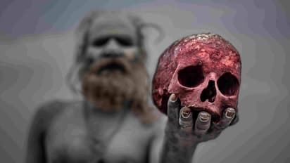 ಶವದ ಮಾಂಸ ತಿನ್ನುವುದಷ್ಟೇ ಅಲ್ಲ, ಅದರೊಂದಿಗೆ ದೈಹಿಕ ಸಂಪರ್ಕವನ್ನೂ ಬೆಳೆಸೋ ಅಘೋರಿಗಳು !