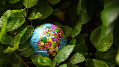 বিশ্বব্যাপী মৃত্যুর অন্যতম প্রধান কারণ দূষণ, বিশ্ব পরিবেষ দিবসে কি জানালেন চিকিৎসক অর্ণব বেরা