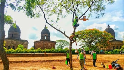 গাছে গাছে পাখিদের জন্য লাগানো হল 'ফাইভস্টার' বাসা, মন্দির নগরী চমকে দিল ভাবনার অভিনবত্বে