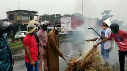 বিশ্ব পরিবেশ দিবসে 'সবুজ অভিযান', শিলিগুড়িতে পুড়ল গাছ