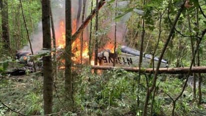 ജോര്ജിയയ്ക്ക് സമീപം വിമാനം തകര്ന്ന് രണ്ട് കുട്ടികള് അടക്കം അഞ്ച് പേര് മരിച്ചു