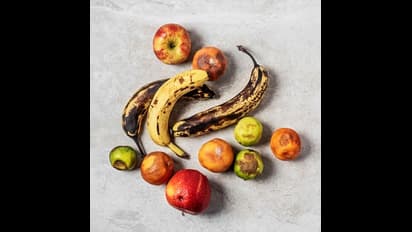 ನಗರದಲ್ಲಿದ್ದೇ ಪರಿಸರಕ್ಕಾಗಿ ಏನು ಮಾಡಬಹುದು? ನಾಗೇಶ್ ಹಗಡೆ ಮಾತುಗಳು!