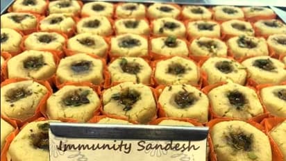 করোনা-রোধী শক্তি বাড়াতে দাওয়াই 'মিষ্টি মুখ', কলকাতায় বিকোচ্ছে ইমিউনিটি সন্দেশ