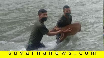 ನದಿಗೆ ಹಾರಿ ಗರ್ಭಿಣಿ ಜಿಂಕೆ ರಕ್ಷಿಸಿದ ಭಾರತೀಯ ಸೇನಾ ಯೋಧರು!