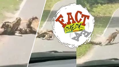 വരിഞ്ഞുമുറുക്കിയ പെരുമ്പാമ്പിൽ നിന്ന് മാനിനെ സാഹസികമായി രക്ഷിക്കുന്നു; വൈറൽ വീഡിയോ കേരളത്തിലേതോ?