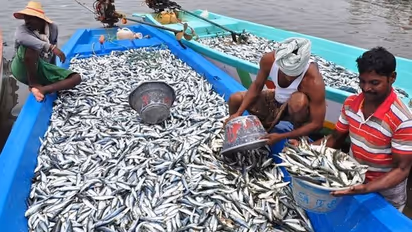 భారతదేశంలో నీలి విప్లవం గురించి ఈ విషయాలు మీకు తెలుసా.. ?