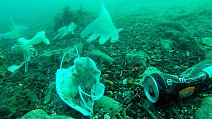 করোনার জেরে এবার বিপদ বাড়ছে জলেও, বিশ্ব সমুদ্র দিবসে সামনে এল ভয়ঙ্কর ছবি