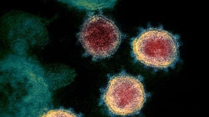 Tamil Nadu reports 1,927 new COVID-19 cases, 19 coronavirus deaths in 24 hours