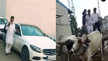 ಕೆಟ್ಟ ರಸ್ತೆಯಲ್ಲಿ ಕೈಕೊಟ್ಟ BMW ಕಾರು, ಎತ್ತಿನ ಗಾಡಿಯಲ್ಲಿ ಆಫೀಸ್ ತಲುಪಿದ ಉದ್ಯಮಿ!