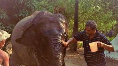 ತನ್ನ 5 ಕೋಟಿ ಆಸ್ತಿ ಎರಡು ಆನೆಗಳ ಹೆಸರಿಗೆ ಬರೆದ ಅಖ್ತರ್ ಇಮಾಮ್!