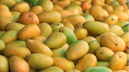 ಮಾವಿನ ರುಚಿಗೆ ಸೋಲದವರಿಲ್ಲ, ಆರೋಗ್ಯಕ್ಕೆ ಇದರ ಕೊಡುಗೆ ಕಡಿಮೆ ಏನಿಲ್ಲ