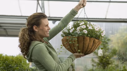 തൂക്കുപാത്രങ്ങളില് ചെടികള് വളര്ത്താന് ഇഷ്ടമാണോ? ഇക്കാര്യങ്ങള് ശ്രദ്ധിക്കണം