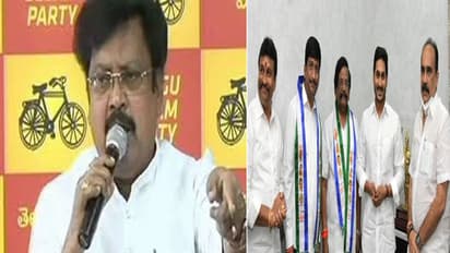 శిద్దా రాఘవులు వైసిపిలో చేరడానికి కారణమదే: వర్ల రామయ్య