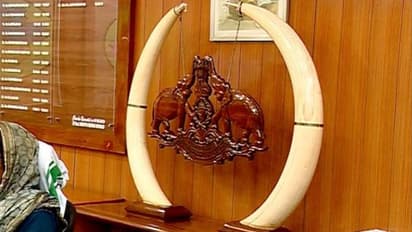 കളക്ടറേറ്റില് അലങ്കാരത്തിനായി ആനക്കൊമ്പ്; പ്രതിഷേധം ശക്തമാക്കി പരിസ്ഥിതി പ്രവർത്തകർ