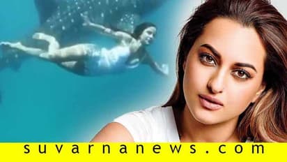 ತಿಮಿಂಗಿಲ ಜತೆ ಸಾಗರದಲ್ಲಿ ಈಜಿದ ನಟಿಯ ವಿಡಿಯೋ ವೈರಲ್; ಯಾರೀಕೆ?