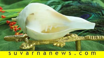 Auspicious Signs : ದಾರಿಯಲ್ಲಿ ಈ ವಸ್ತುಗಳು ಕಣ್ಣಿಗೆ ಬಿದ್ರೆ ಮಂಗಳ ಎಂದರ್ಥ