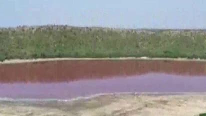 করোনা সংকটের মাঝেই লেকের জল হল গোলাপি, ৫০ হাজার বছর আগে উল্কার আঘাতে তৈরি হয়েছিল হ্রদ