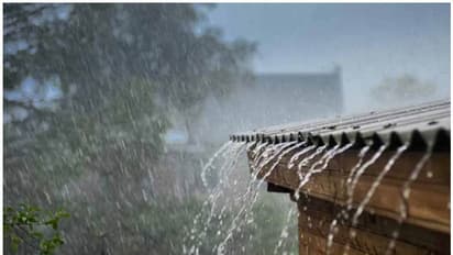 বঙ্গের বাকি অংশে মৌসুমি বায়ু প্রবেশের পূর্বাভাস, সঙ্গে ভারী বৃষ্টির সম্ভাবনা