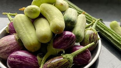 എന്നാലും എന്റെ ജൈവാ, ഇത് കൊടും ചതി! ജൈവ പച്ചക്കറികളിലും കീടനാശിനി, ഞെട്ടിച്ച് പഠന റിപ്പോർട്ട്, വിവരങ്ങൾ