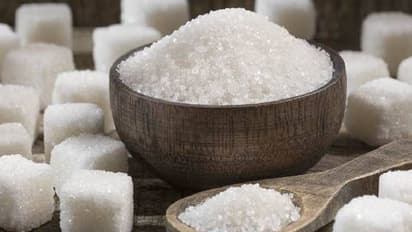 ಏನು ಮಾಡಿದಕೂ ತೂಕ ಕಡಿಮೆ ಆಗ್ತಿಲ್ವಾ? ಅಜ್ಜಿ ಮದ್ದು ಹೇಳ್ತಾರೆ ಇಲ್ ಕೇಳಿ..