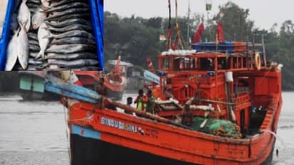 বনবিবির পূজো দিয়ে শুরু, বাংলার টাটকা ইলিশের খোঁজে গভীর সমুদ্রে পাড়ি দেবেন মৎস্যজীবীরা