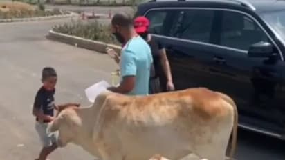 കന്നുകാലികള്ക്ക് ഭക്ഷണം കൊടുത്ത് താരകുടുംബം; മകനുള്ള പാഠമെന്ന് ശിഖര് ധവാന്- വീഡിയോ