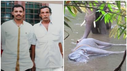 പാലക്കാട് ദുരൂഹ സാഹചര്യത്തില് ആന ചെരിഞ്ഞ സംഭവം; മുഖ്യപ്രതികള്ക്കായി ലുക്കൌട്ട് നോട്ടീസ്