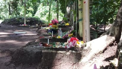 সামাজিক দূরত্ব মেনে বনদেবীর পুজো, গরুমারা অভয়ারণ্যে চলল 'প্রকৃতির আরাধনা'