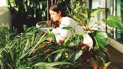 'കൊതിപ്പിക്കുന്ന വീട്'; അനുഷ്ക പങ്കുവയ്ക്കുന്ന ചിത്രങ്ങള്...