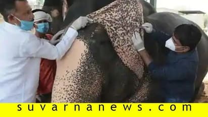 ಆನೆಗಳಿಗೂ ಕೊರೋನಾ ಪರೀಕ್ಷೆ ಶುರು!