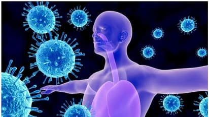 ഒഴിവാക്കണം ഈ ആറ് ശീലങ്ങള്; രോഗപ്രതിരോധ ശേഷിയെ ദുർബലപ്പെടുത്താം