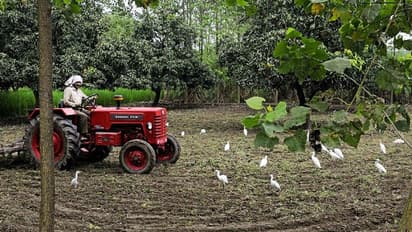 মাওবাদীদের সাহায্য করতে গিয়ে গ্রেফতার বিজেপি নেতা, বনের মধ্যে ট্রাক্টর দিয়ে কী করছে তারা