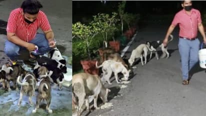 ലോക്ക്ഡൗണിൽ ദുരിതത്തിലായ തെരുവ് നായ്ക്കളുടെ വിശപ്പകറ്റി 28കാരൻ; ഇത് കൊവിഡ് കാലത്തെ നല്ലമാതൃക
