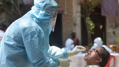 महाराष्ट्र में कोरोना संक्रमण 2.54 लाख मामले, अब तक 10289 लोगों की मौत