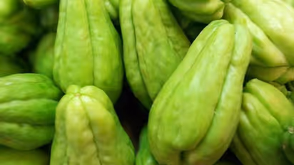 ചൗ ചൗ അഥവാ ശീമ കത്തിരിക്ക വളര്ത്താം; മഴക്കാലം കൃഷിക്ക് അനുയോജ്യം