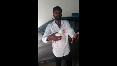 ಕಾರಟಗಿಯಲ್ಲಿ ಅಪರೂಪದ ಬಿಳಿ ಕಾಗೆ ಮರಿ ಪ್ರತ್ಯಕ್ಷ: ನೋಡಲು ಮುಗಿಬಿದ್ದ ಜನತೆ..!