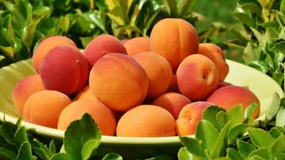 ആപ്രിക്കോട്ടിന്റെ അതിശയിപ്പിക്കുന്ന ഏഴ് ആരോ​ഗ്യ​ഗുണങ്ങൾ