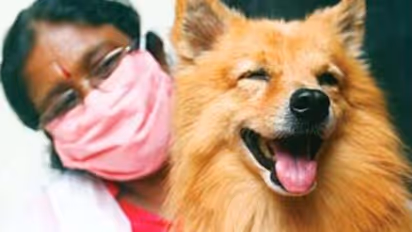 തിരയാനിനി ഇടമില്ല;കണ്ടെത്തുന്നവർക്ക് പ്രതിഫലവും പ്രഖ്യാപിച്ചു; കുട്ടുവിനെ കിട്ടിയ സന്തോഷത്തില്‍ ഒരു കുടുംബം