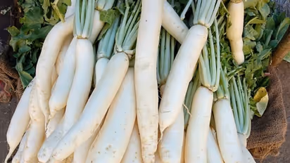 ಚಳಿಗಾಲದಲ್ಲೇಕೆ ಮೂಲಂಗಿ ತಿನ್ಬೇಕು..? ಇಲ್ಲಿ ಓದಿ