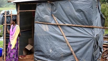 വാടകവീട്ടില് നിന്ന് ഇറക്കിവിട്ട ട്രാന്സ്ജെന്റര് റവന്യുഭൂമിയില് ഷെഡുകെട്ടി; അധിക്യതര് പൊളിച്ചുനീക്കി