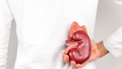 വൃക്കകളെ സംരക്ഷിക്കാൻ ഈ അഞ്ച് ഭക്ഷണങ്ങൾ ഒഴിവാക്കാം