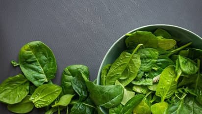 ಆರೋಗ್ಯದ ಬಗ್ಗೆ ಕಾಳಜಿಯಾ? ಬೇಸಿಗೆಯಲ್ಲಿ ಪಾಲಕ್ ಜ್ಯೂಸ್ ಸೇವಿಸಿ