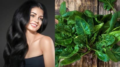 തലമുടി കൊഴിച്ചില്‍ തടയാനും തഴച്ച് വളരാനും പരീക്ഷിക്കാം പാലക് ചീര ഹെയർ മാസ്ക്...