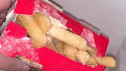 ഇതെന്തോന്ന്! മഞ്ഞ് പൊഴിയുന്ന ഫ്രഞ്ച് ഫ്രൈസോ?; വൈറലായി ഫോട്ടോ