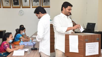 వల్లభనేని వంశీ సహా వారి "చెల్లని" వ్యూహం: కేసీఆర్ ధైర్యం జగన్ కు లేదా?