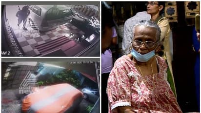 കളിത്തോക്ക് ചൂണ്ടി വൃദ്ധയില് നിന്ന് പണം തട്ടാന് ശ്രമം; പ്രതി പിടിയില്