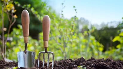 ಮಳೆಗಾಲಕ್ಕೆ ಒಂದಷ್ಟು ಸಿಂಪಲ್‌ ಗಾರ್ಡನಿಂಗ್‌ ಟಿಪ್ಸ್‌