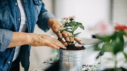 ಈ ಕಿಚನ್ ಟ್ರಿಕ್ಸ್ ಗೊತ್ತಾದ್ರೆ ಅಡುಗೆ ಮನೇಲಿ ಯಾವುದೇ ವಸ್ತು ವೇಸ್ಟ್ ಆಗೋಲ್ಲ