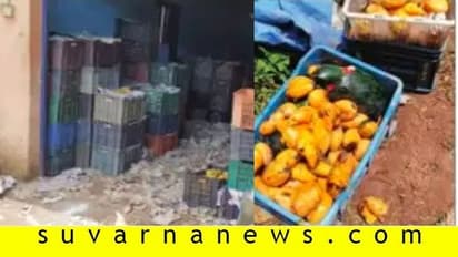 ತೋಟ ಬಿಟ್ಟು ಅಂಗಡಿಗೆ ನುಗ್ಗುತ್ತಿರುವ ಕಾಡಾನೆಗಳು!